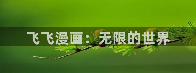 51漫画正版：飞飞漫画：无限的世界