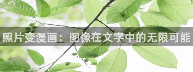 51漫画com：照片变漫画：图像在文字中的无限可能