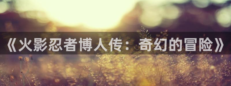 51漫画应用软件：《火影忍者博人传：奇幻的冒险》