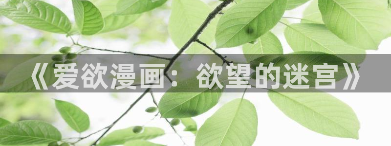 免费51漫画网站